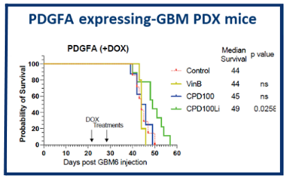 CPD100Li In Glioma Cancer Model CPD100Li in Glioma Cancer Model - PDGFA Expressing-GBM PDX mice