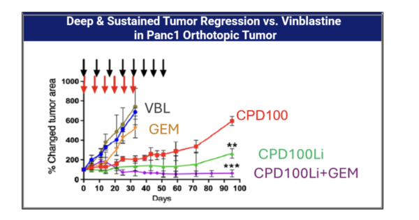 Invivo Activity Chart Chart Showing Deep and Sustained Tumor Regression vs. Vinblastine in Panc1 Orthotopic Tumor