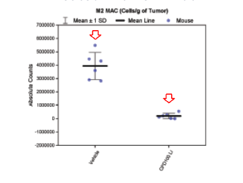Reduction of M2 Cells Graphic showing targeting of Anti-VEGF Medicines